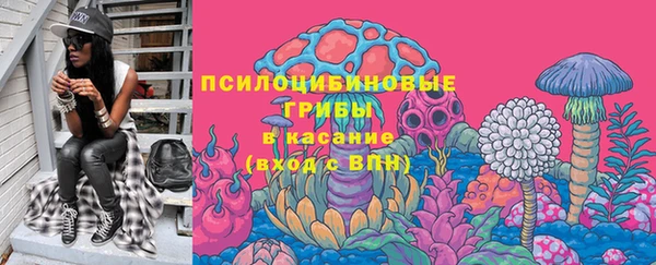 круглые Абаза